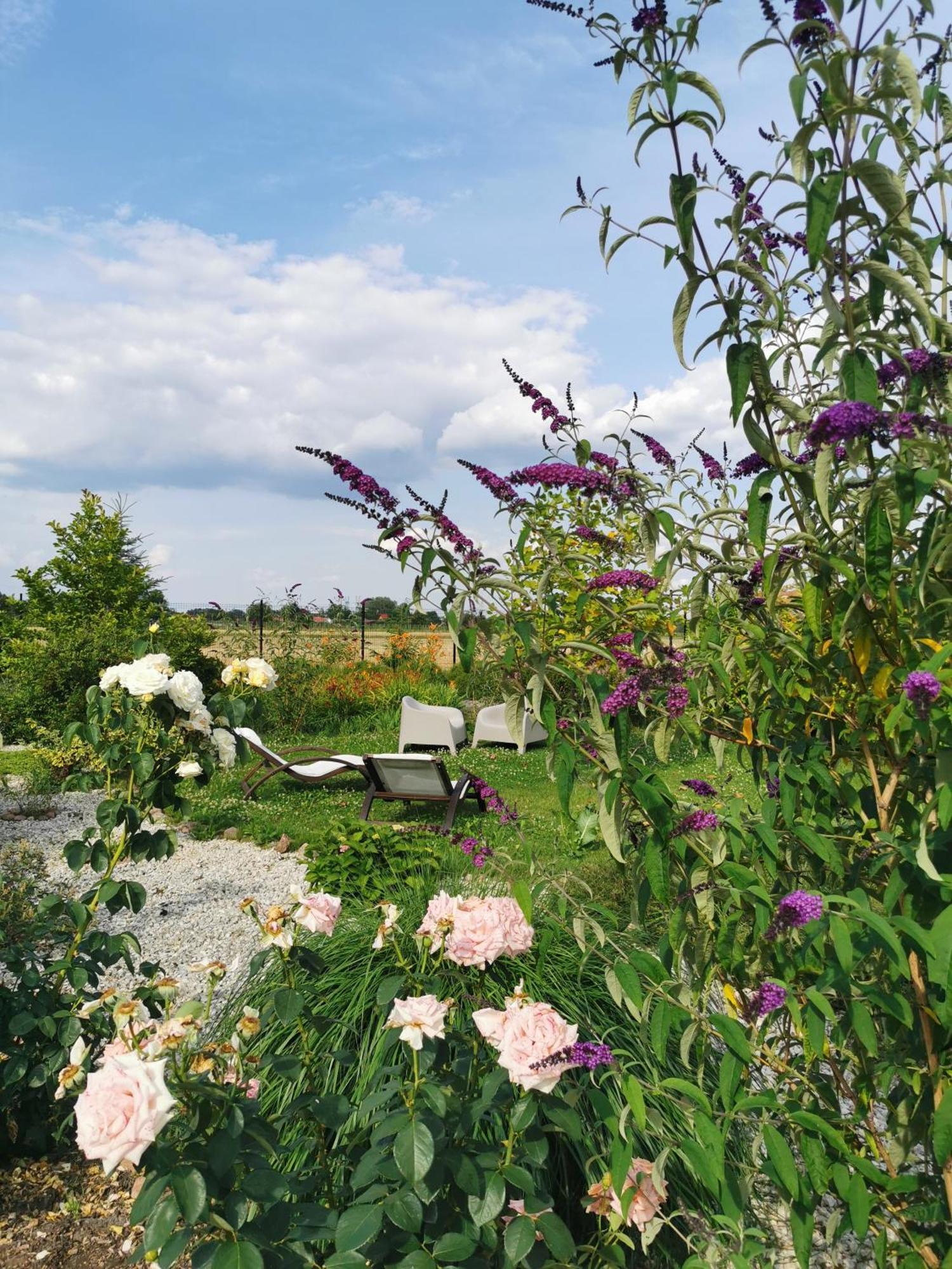 Rezydencja Pod Pieprzowkami Zalesie Gorzyckie Buitenkant foto