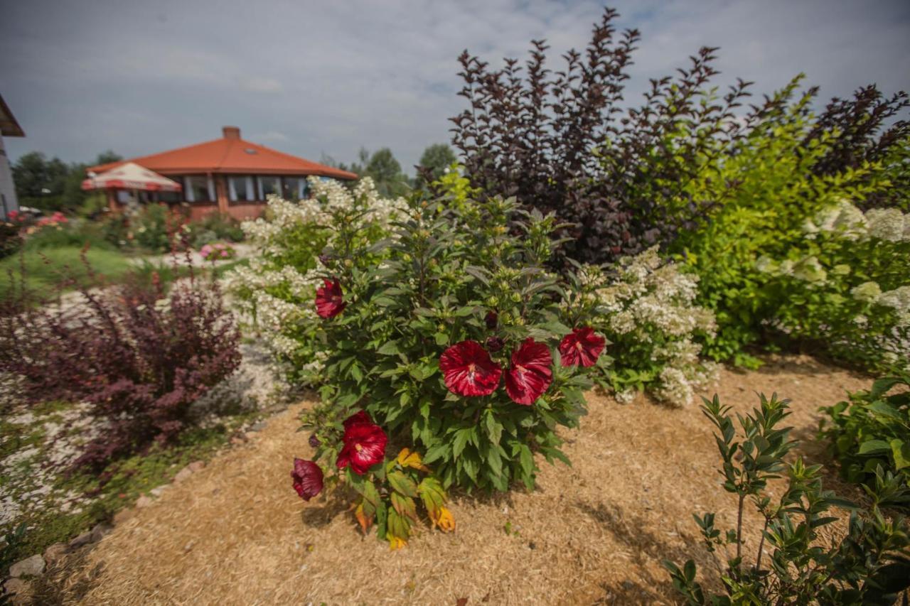 Rezydencja Pod Pieprzowkami Zalesie Gorzyckie Buitenkant foto